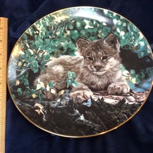 Hideaway. Small wonders plate